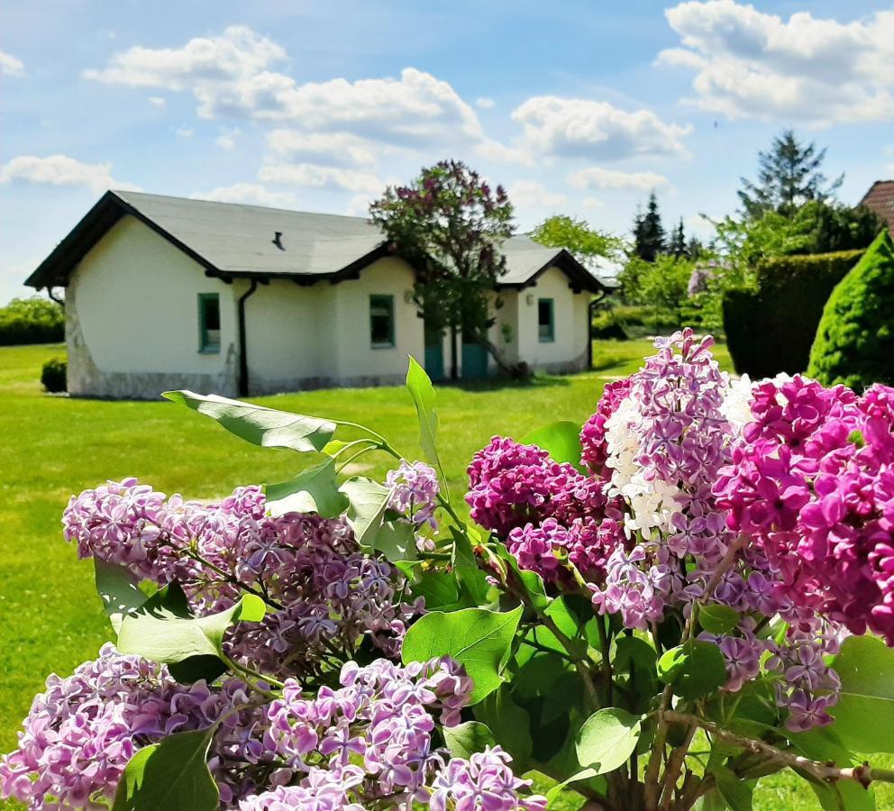 Pension Landhaus Teichgraf Wolgast Exterior foto